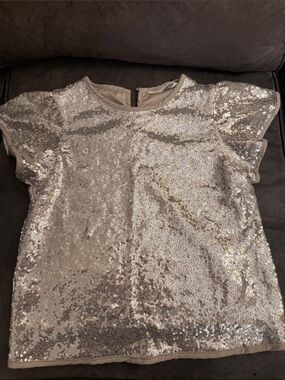 H&M Silver Sequin Short-Sleeve Top